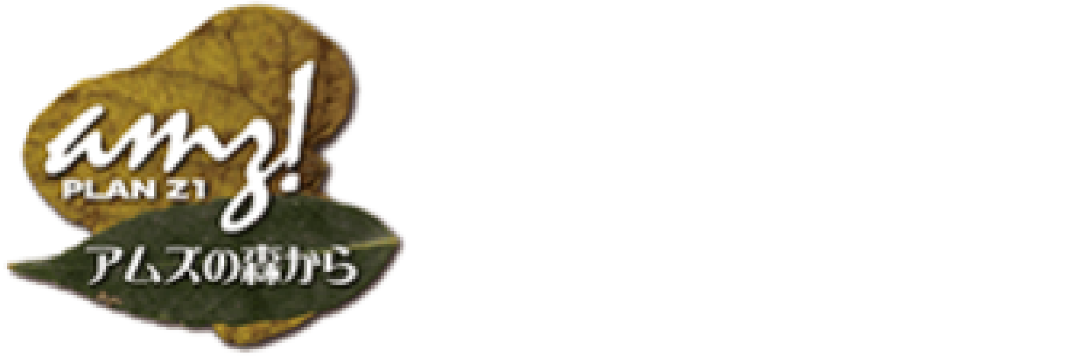 有限会社 アムズ